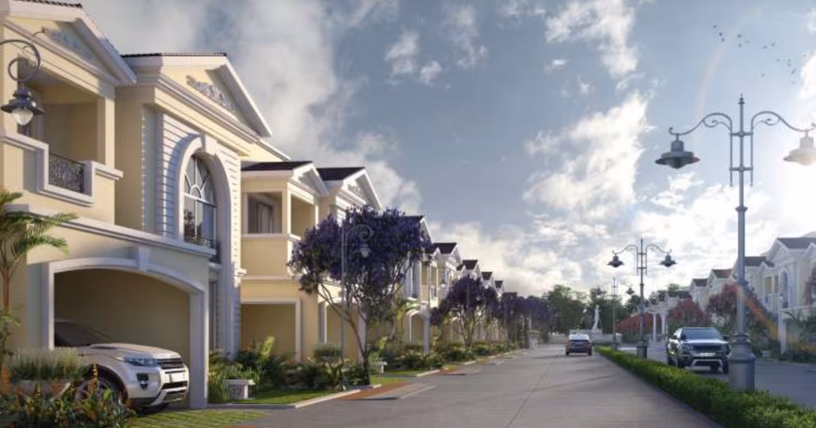 JRC Palladio - Image 3