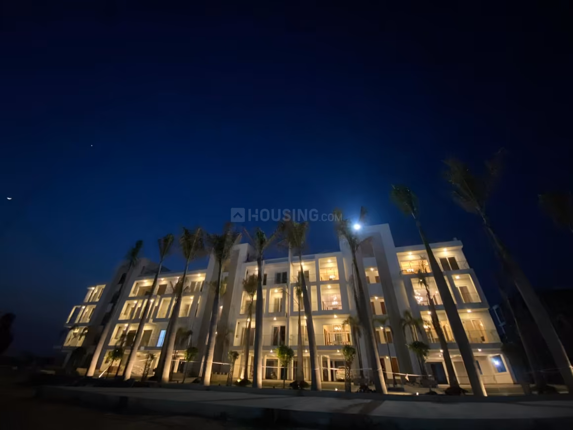 Ace Palm Floors Apartment - Image 3