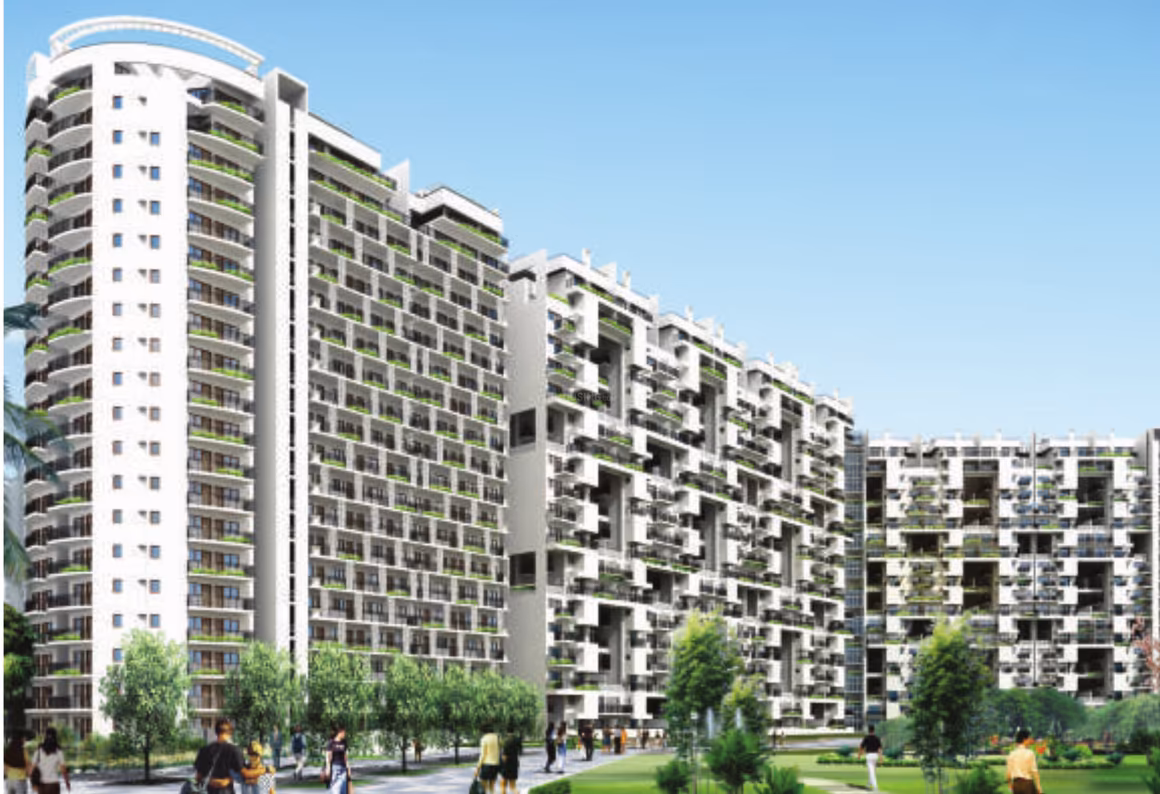 ILD Grand - Image 7