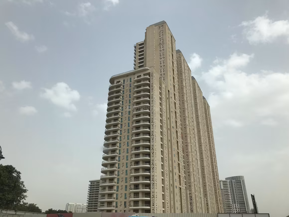 DLF Camellias - Image 2