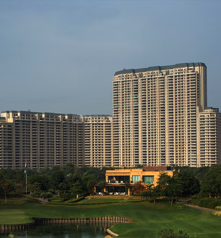 DLF Camellias - Image 3