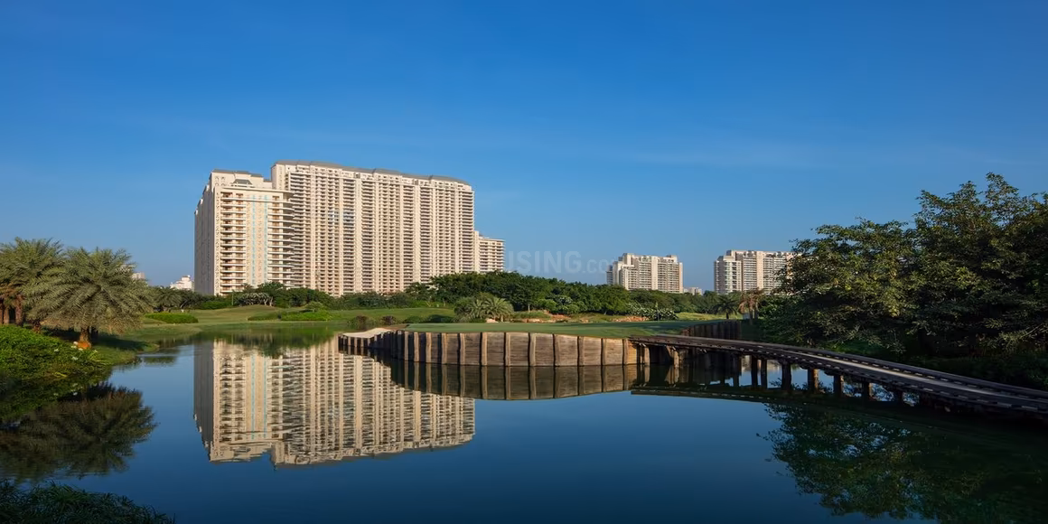 DLF Camellias - Image 4