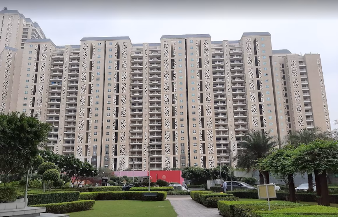DLF Camellias - Image 6