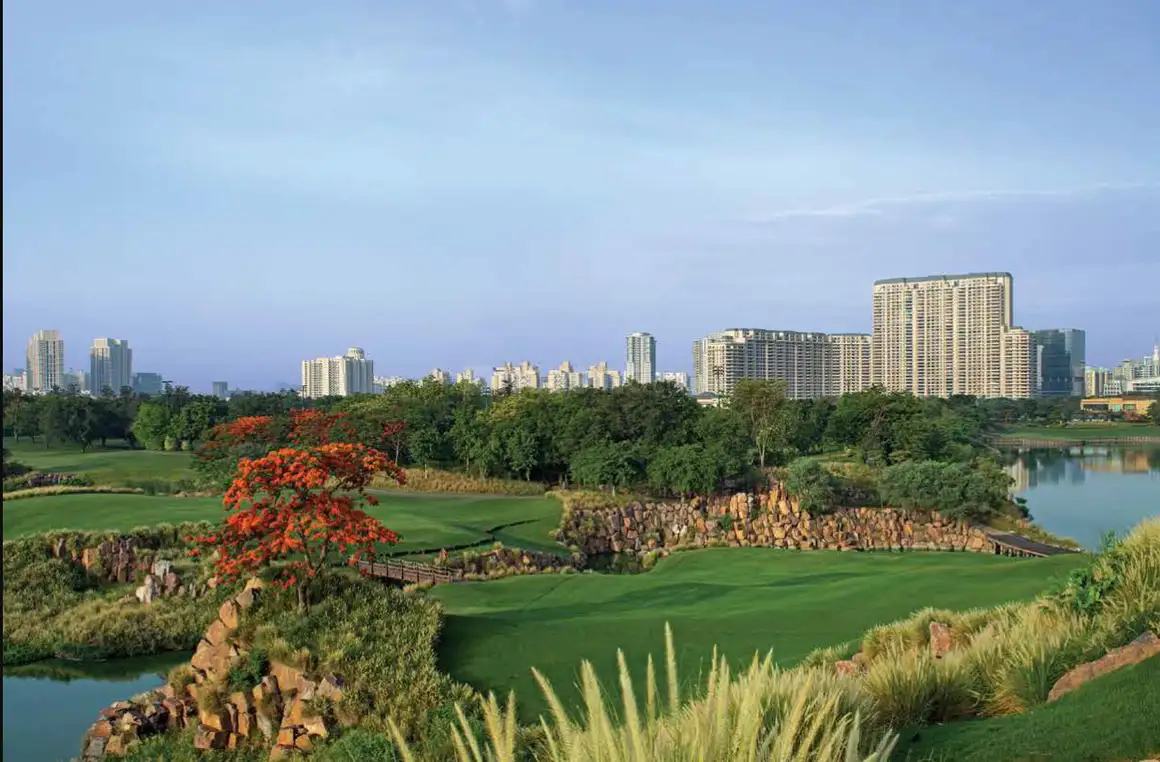 DLF Camellias - Image 13