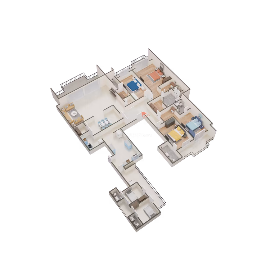 DLF Camellias - Image 35