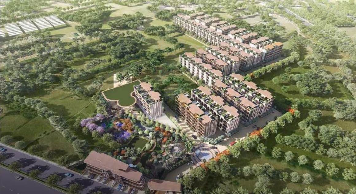 MRG Crown - Image 3