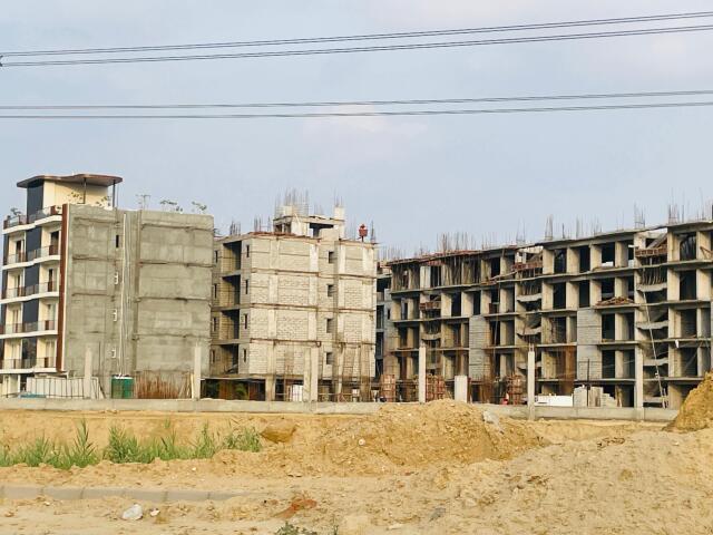 MRG Crown - Image 19