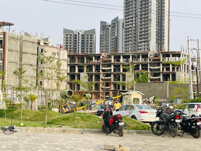 MRG Crown - Image 20