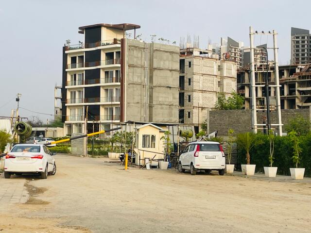 MRG Crown - Image 21