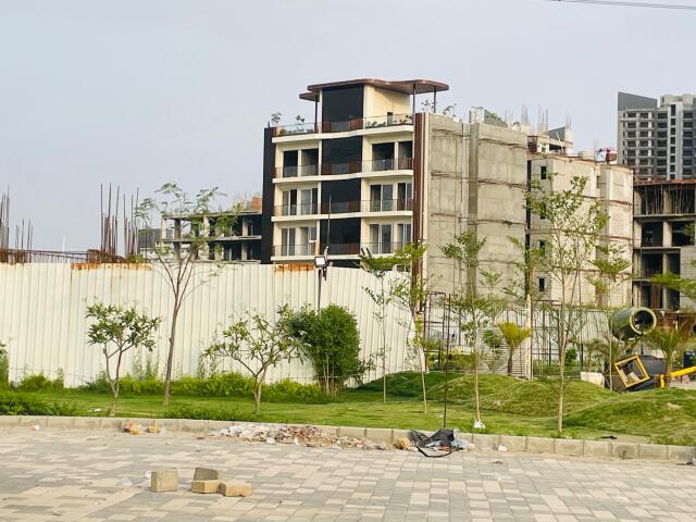 MRG Crown - Image 22