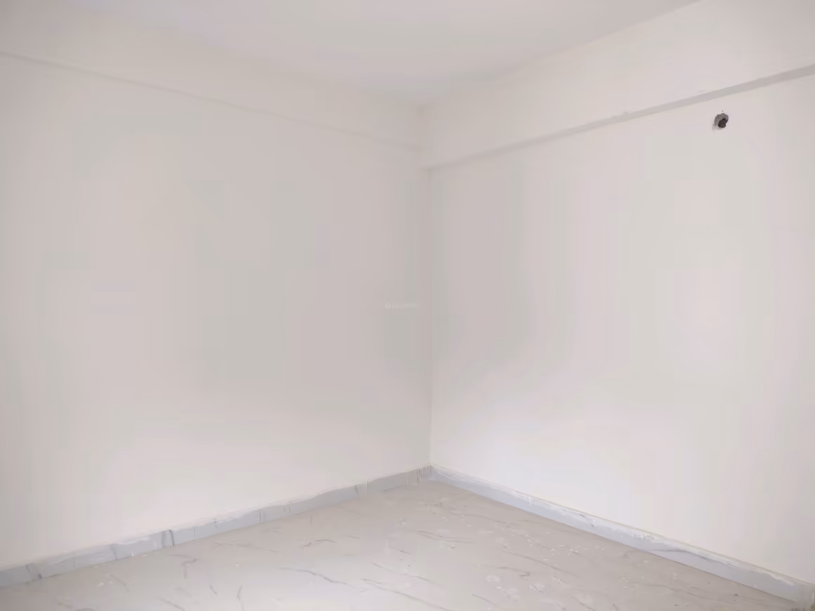 SVN Green Nest - Image 6
