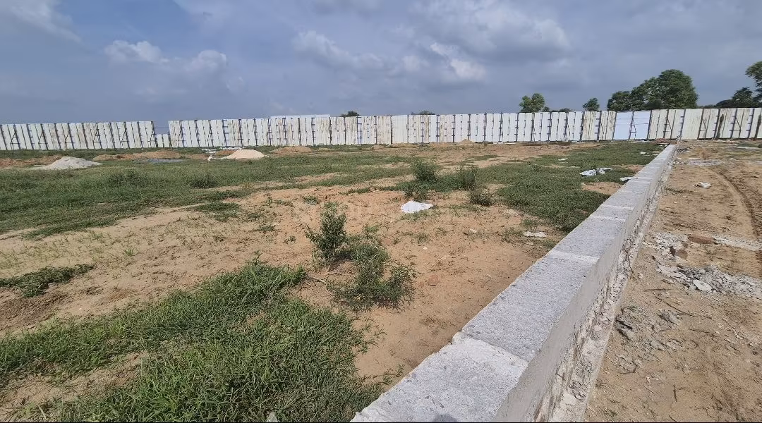 Palm Drive - Image 9