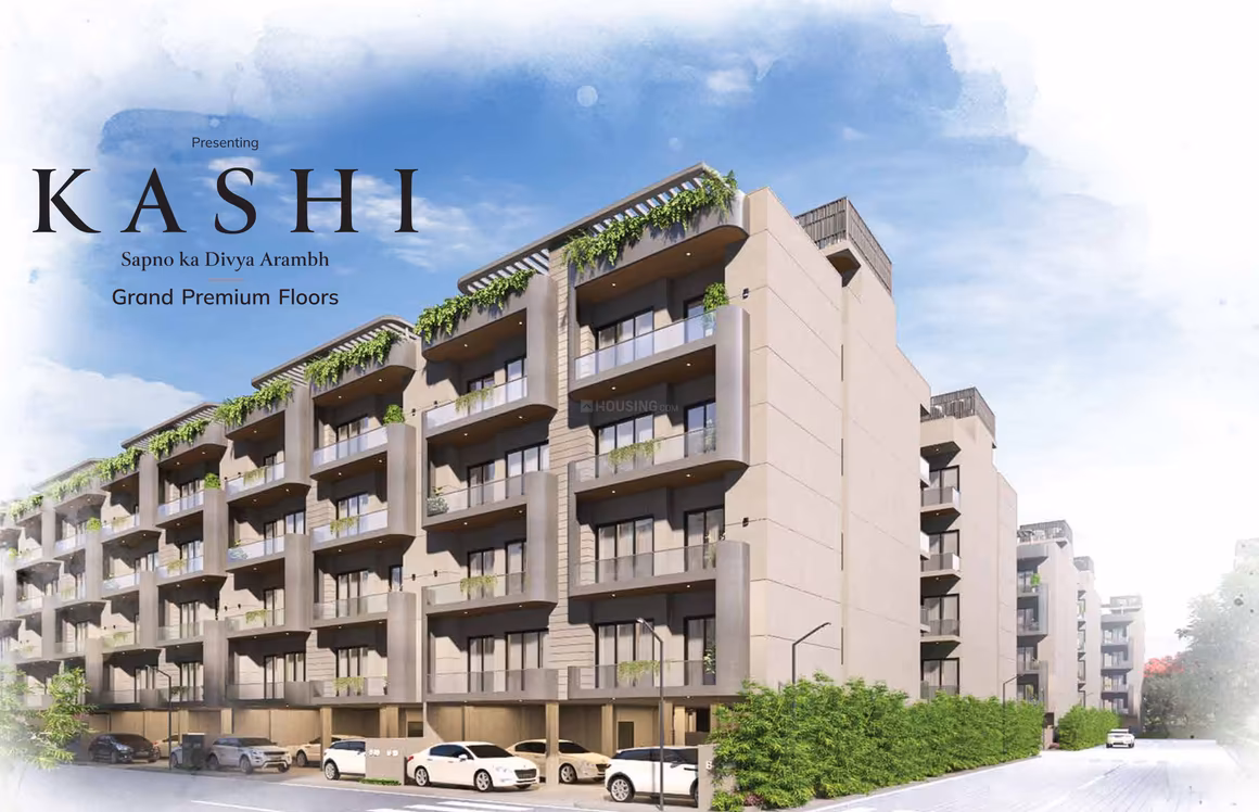 Kashi - Image 2