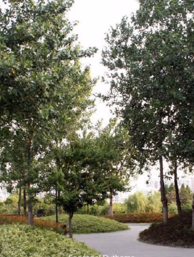 M3M GIC - Image 18