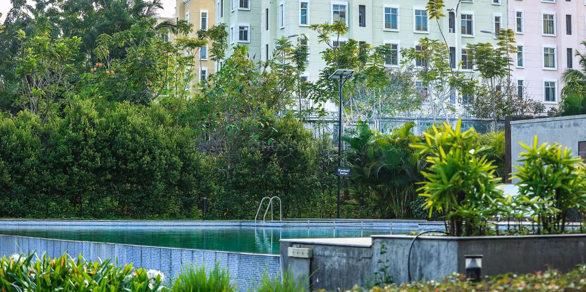 Brigade Plumeria Phase 1 At Meadows - Image 13