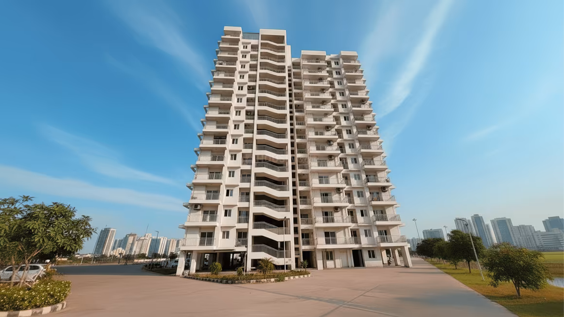 VVIP Nest - Main Image