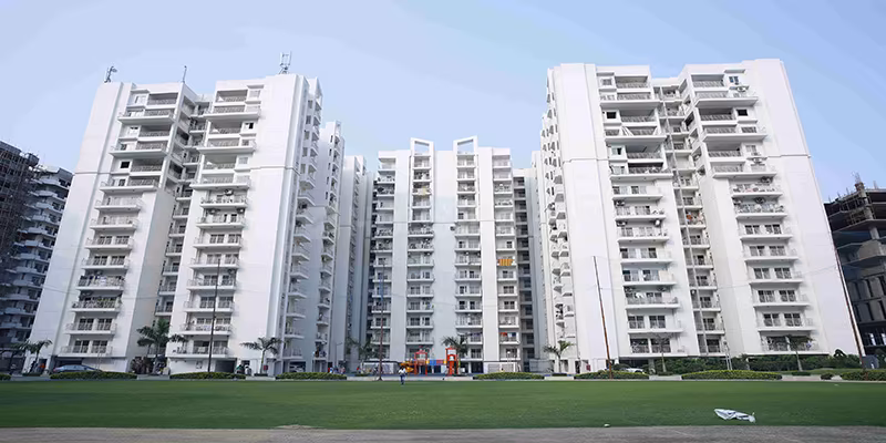 VVIP Nest - Image 2