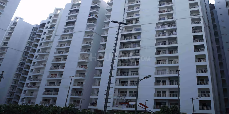 VVIP Nest - Image 3