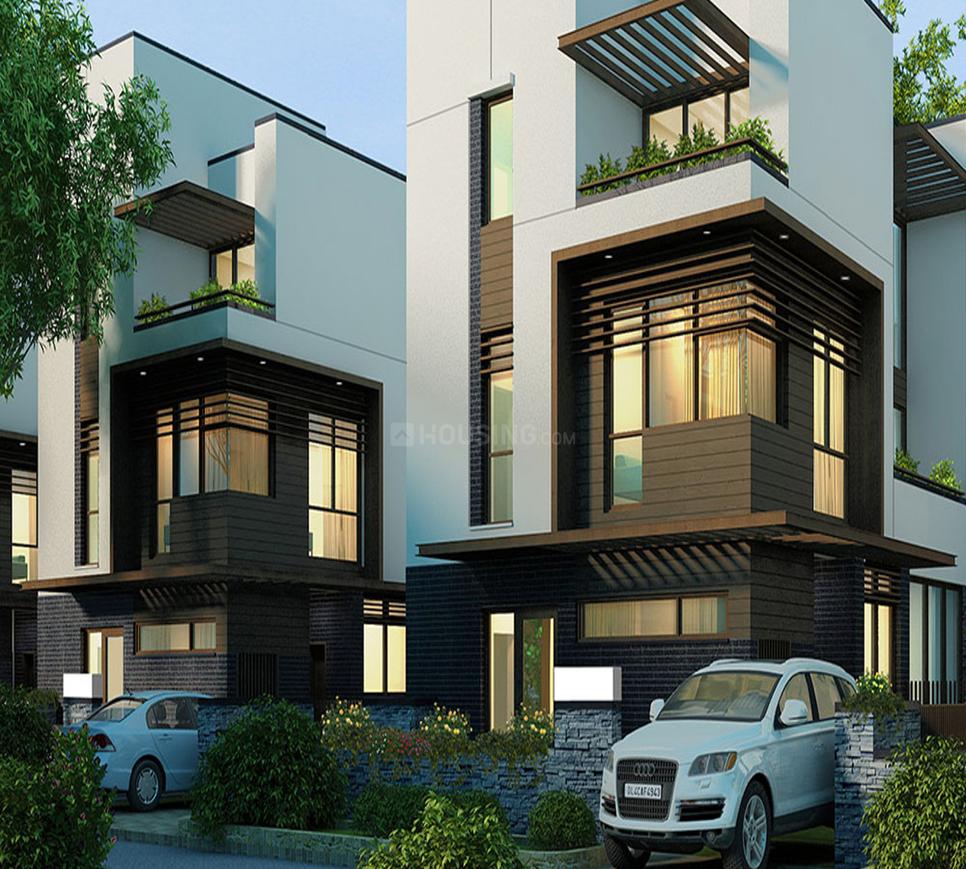 Tata Arabella - Image 6