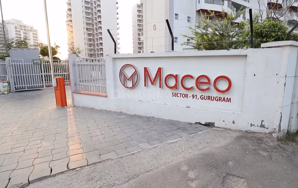 TARC Maceo - Image 33