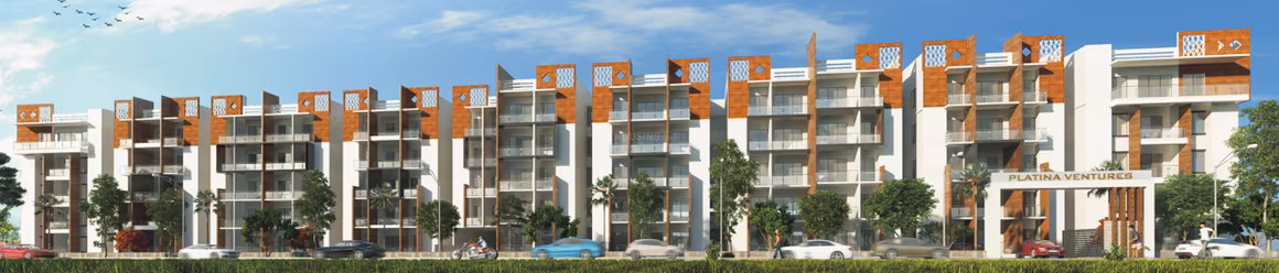 ATZ Exotica - Image 3