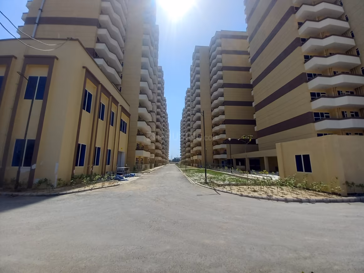Pyramid Urban 67A - Image 13