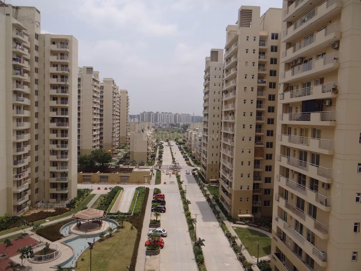 CHD Avenue 71 - Main Image