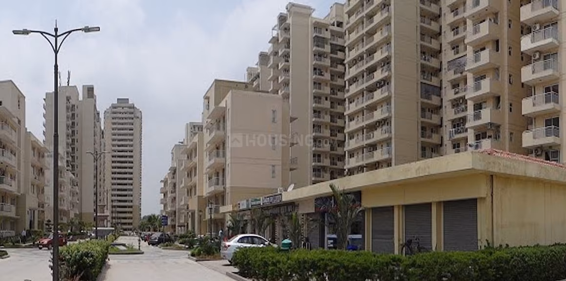 CHD Avenue 71 - Image 5