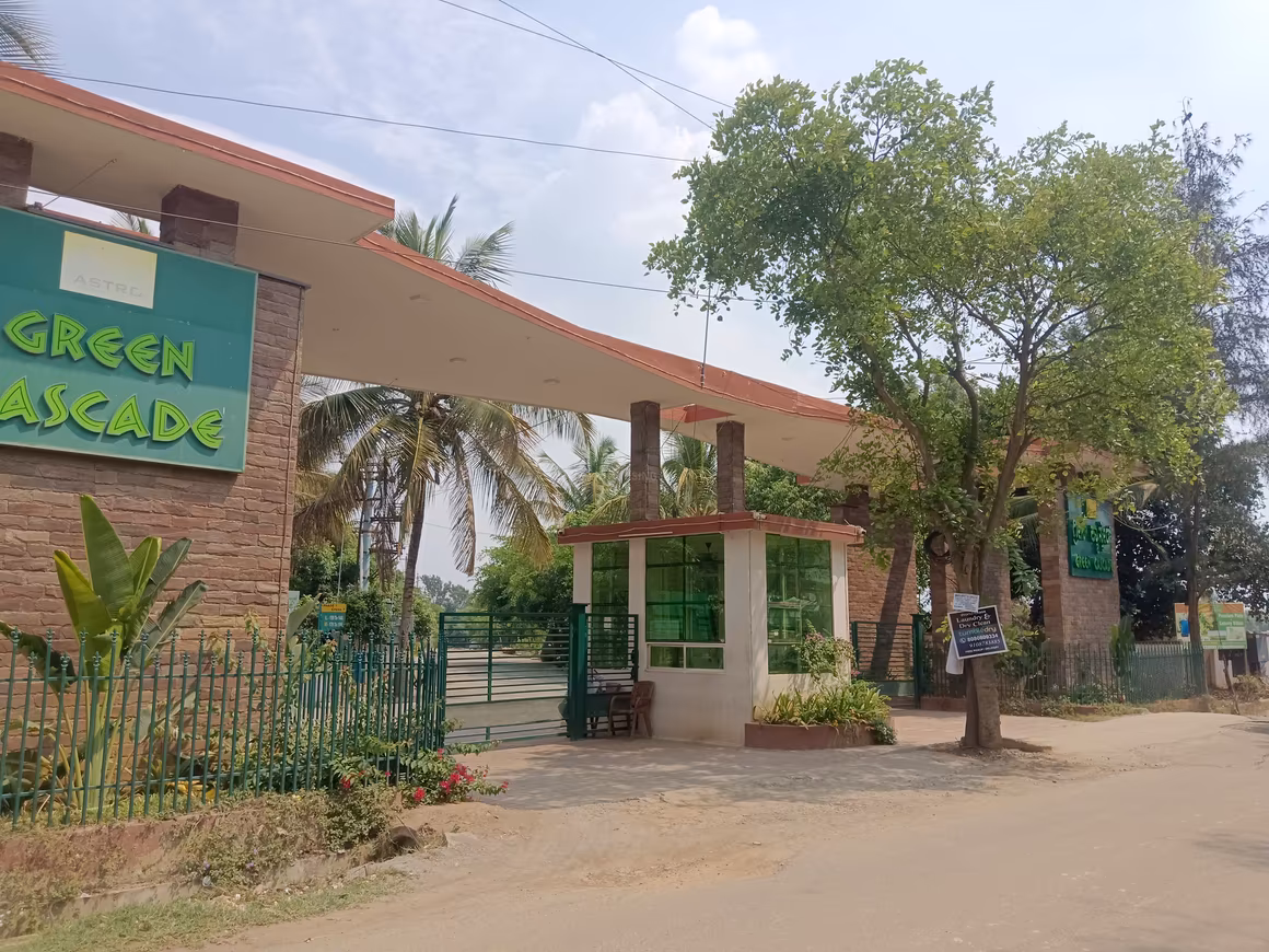 Green Cascade - Image 6