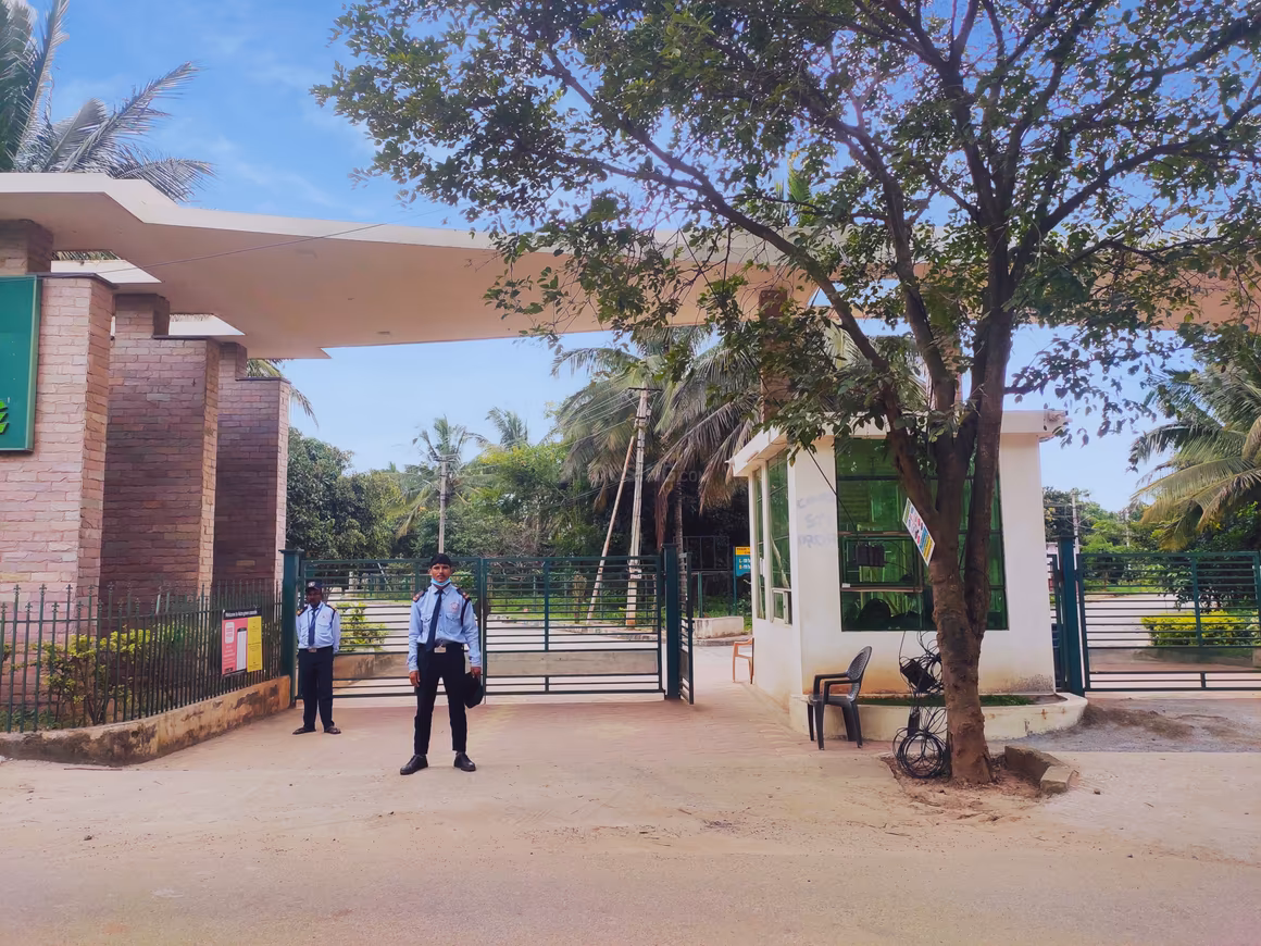 Green Cascade - Image 19