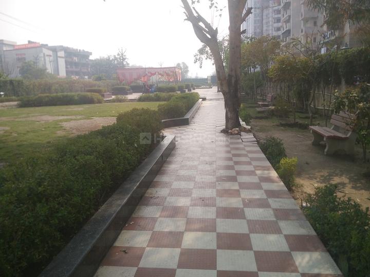 Express Green - Image 7
