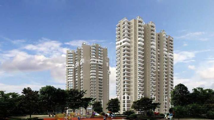 Keltech Imperial Greens - Image 4