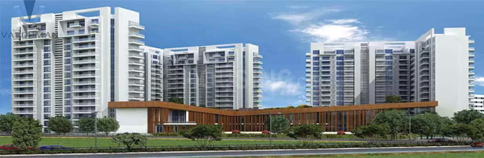 Vardhman Camellias - Image 1