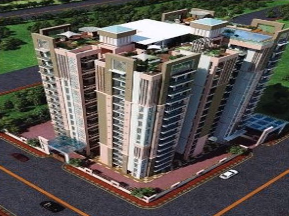 Parakh Golden Maple - Image 2