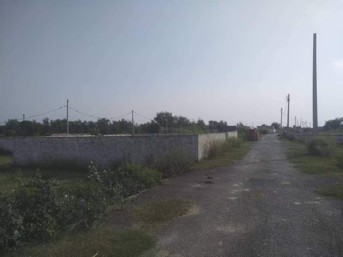 NS Prime View Extension - Image 1
