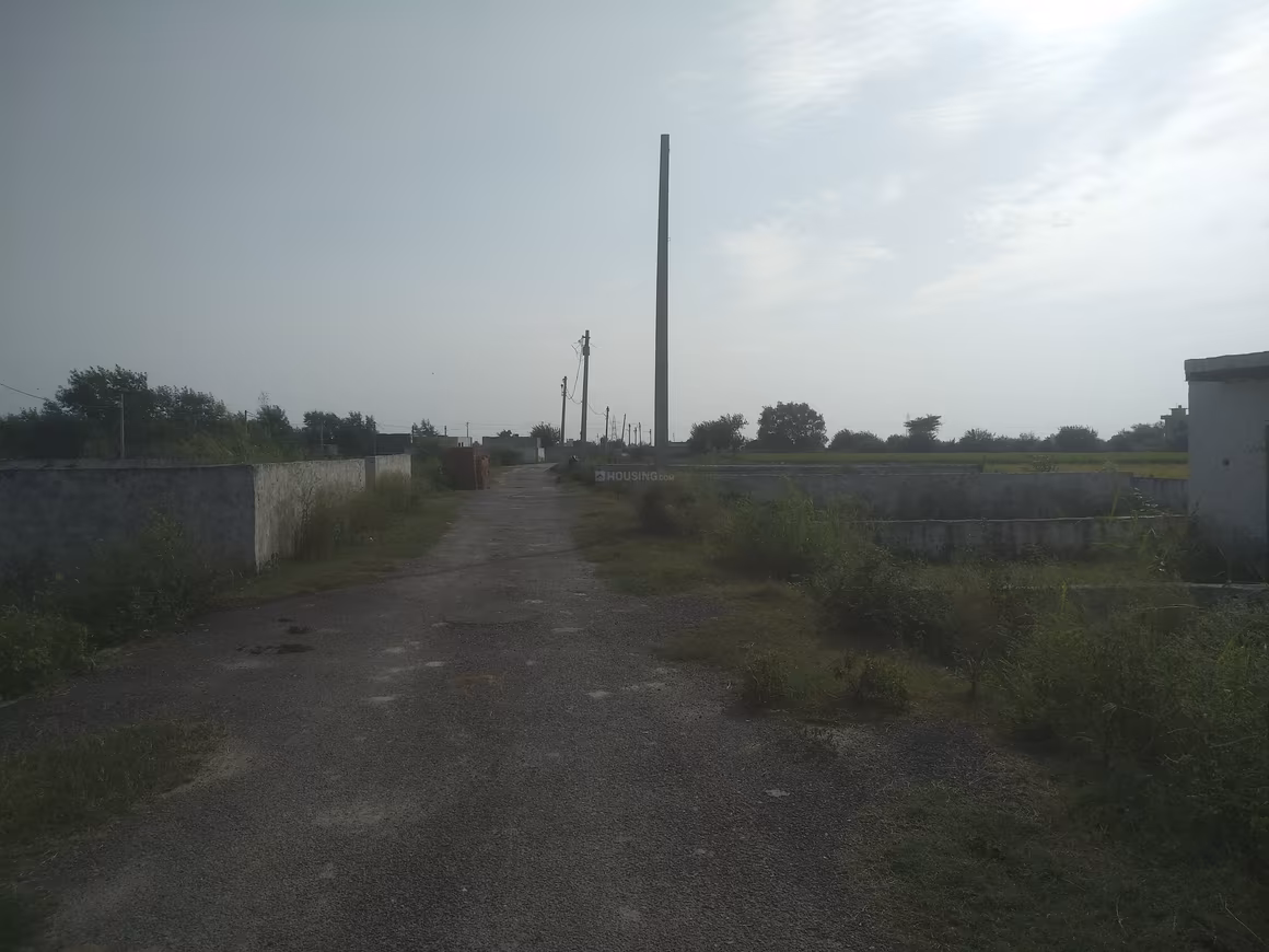 NS Prime View Extension - Image 2