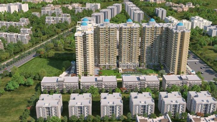 Aigin Royal - Image 2