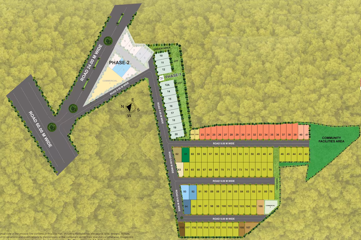 Pyramid Palm County - Image 4