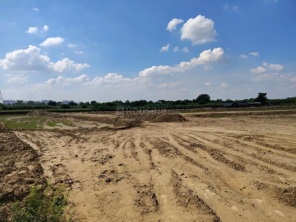 Virasat Royal Paradise Green - Image 2