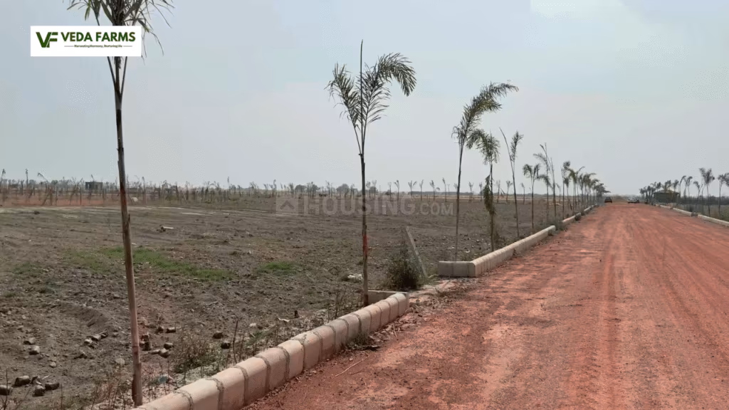 Veda Farm - Image 14