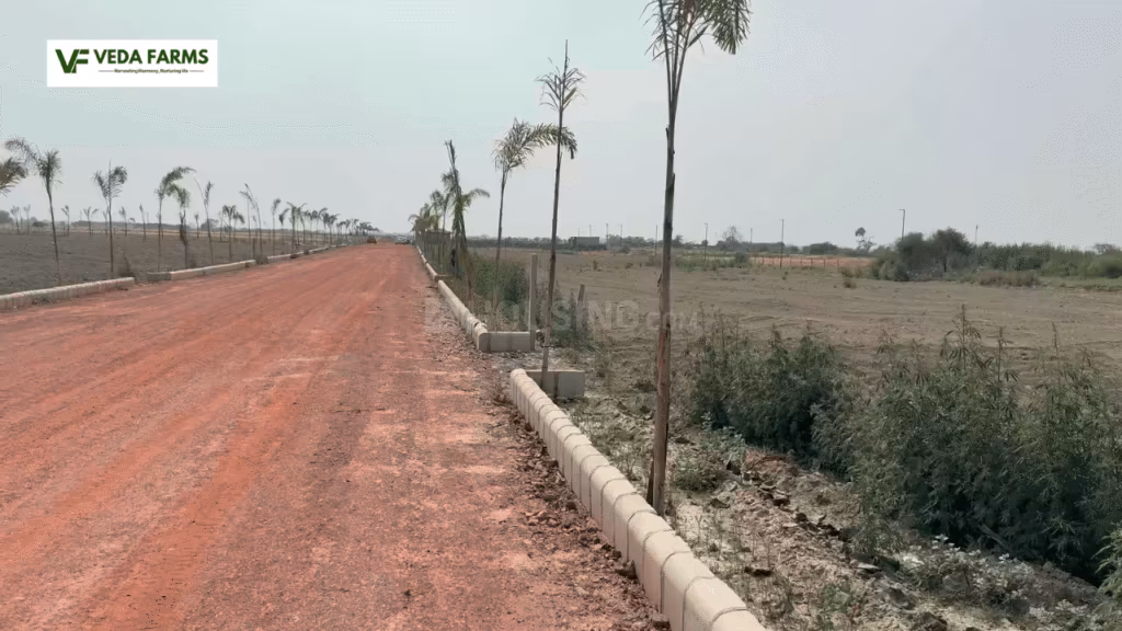 Veda Farm - Image 16