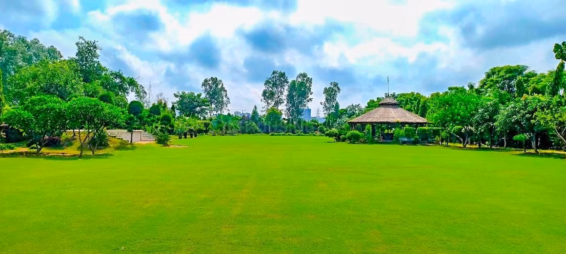 Veda Farm - Image 17