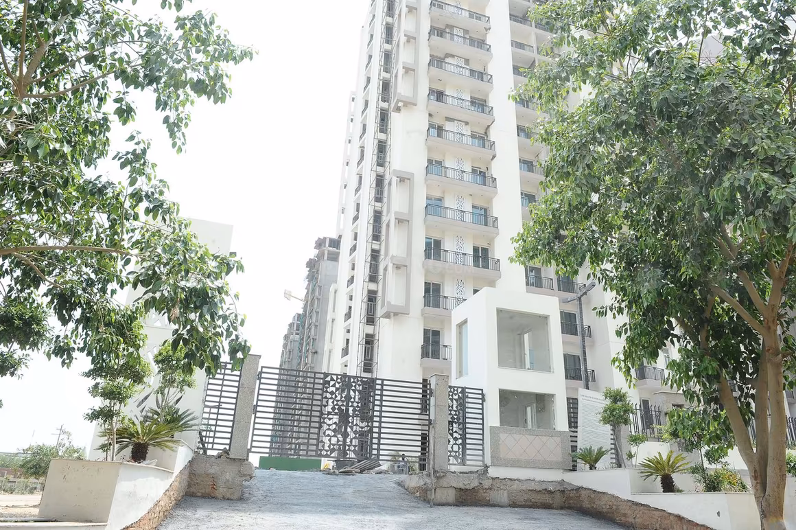 Sikka Karnam Greens - Image 4