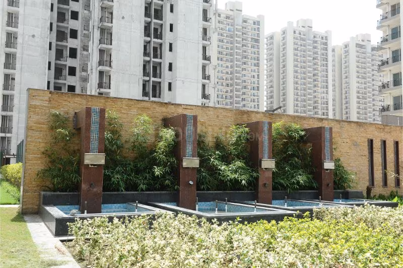Sikka Karnam Greens - Image 28