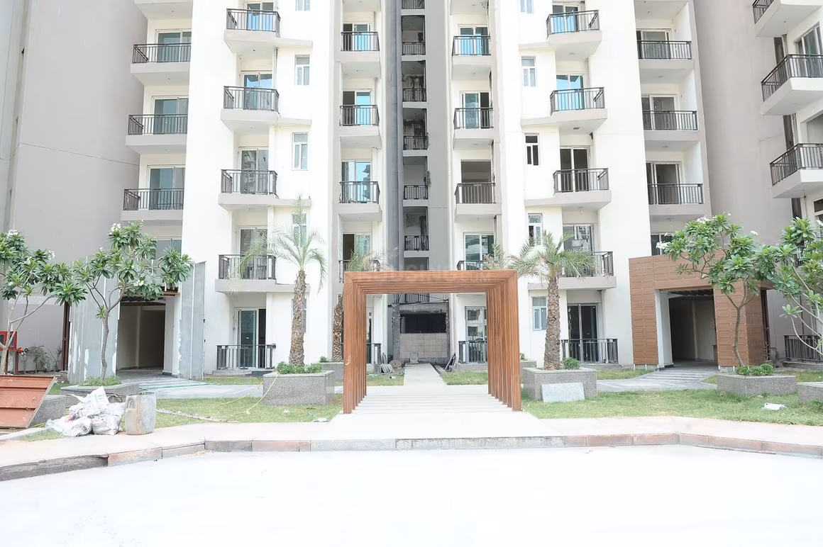 Sikka Karnam Greens - Image 33