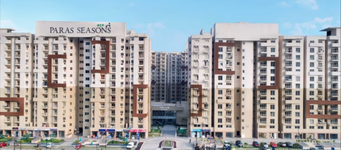Paras Seasons - Image 3