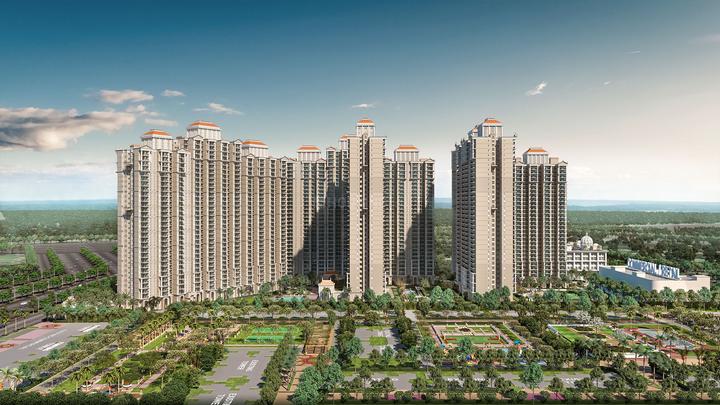 Prateek Grand Begonia - Image 1