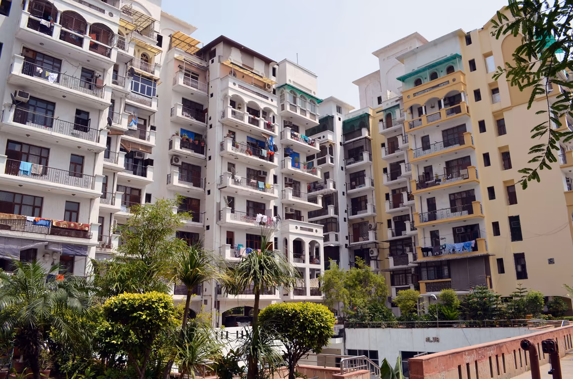 Amrapali Exotica - Image 1