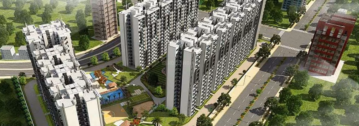 AFOWO Raksha Addela - Image 1