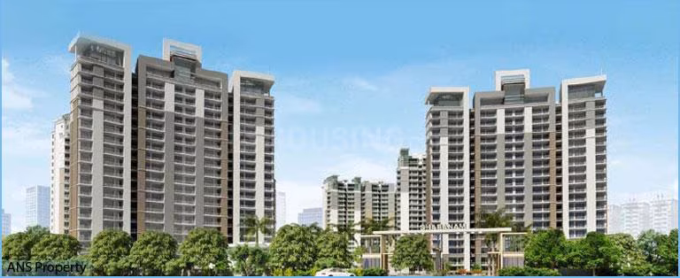 Great Value Sharanam - Image 5